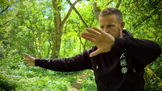 Tai Chi for Seniors – Screenshot 1
