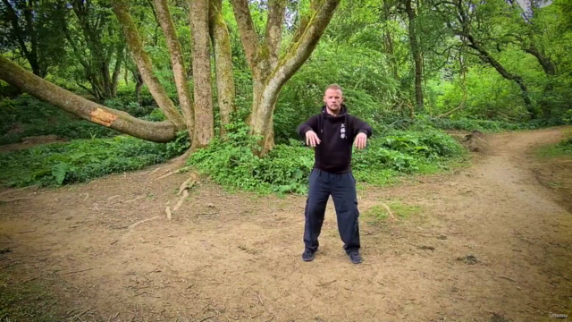 Tai Chi for Seniors – Screenshot 2