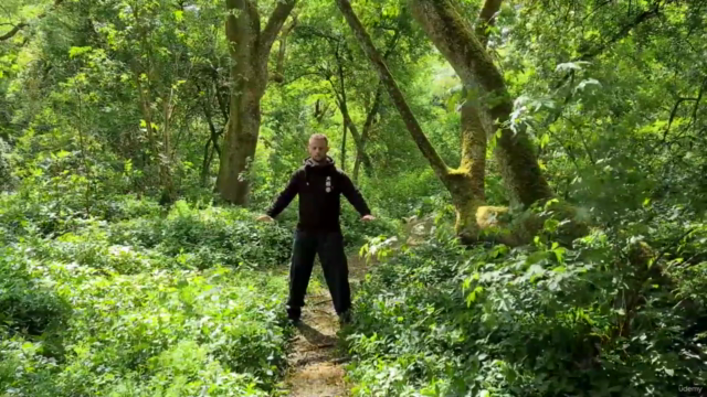 Tai Chi for Seniors – Screenshot 4