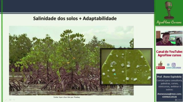 Aprenda Relações Hídricas: Relação solo, planta e atmosfera - Screenshot_02