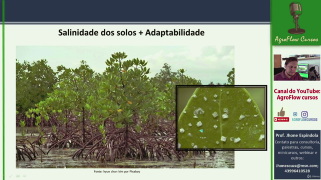 Aprenda Relações Hídricas: Relação solo, planta e atmosfera – Screenshot 2