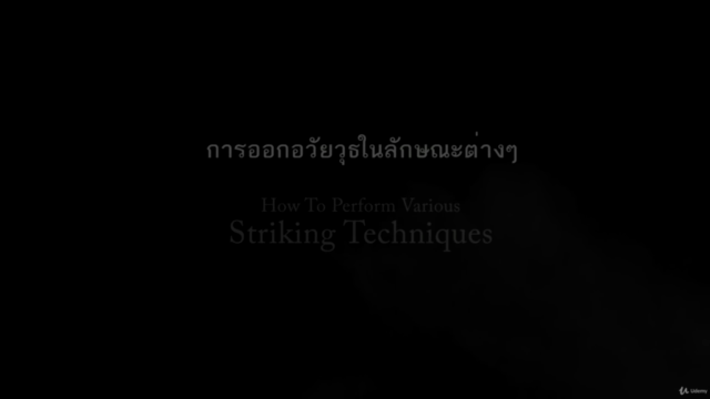 Learn Muay Chaiya from videos! – Screenshot 2