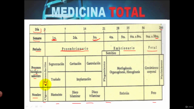 Embriología humana – Screenshot 1