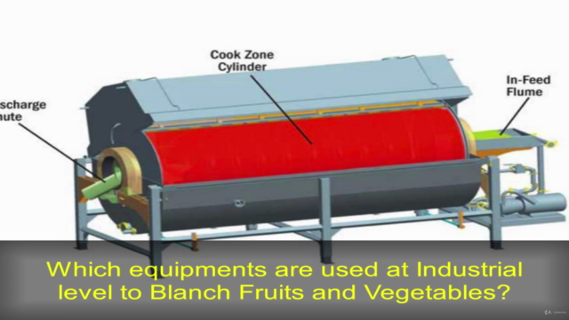 importance-of-blanching-in-food-processing-free-course