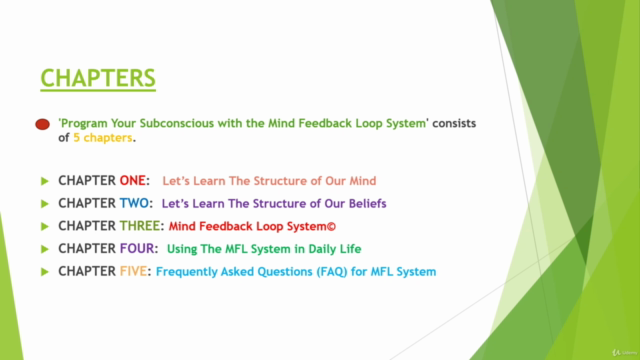 Reprogram Your Mind With The Mind Feedback Loop System© – Screenshot 4