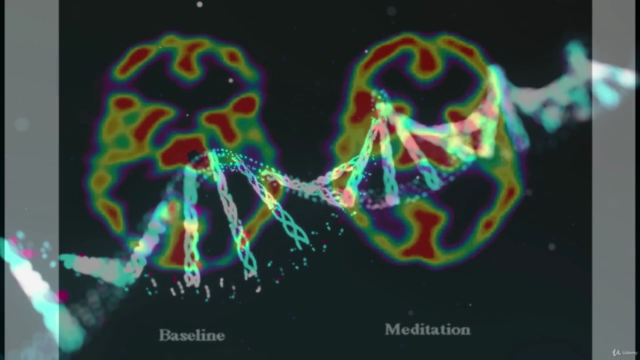 Neurociencia de Mindfulness – Screenshot 3