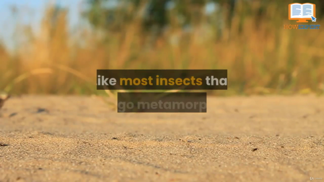 HowExpert Guide to Insects – Screenshot 1
