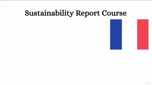 The Sustainability (ESG) Reporting Course. – Screenshot 1