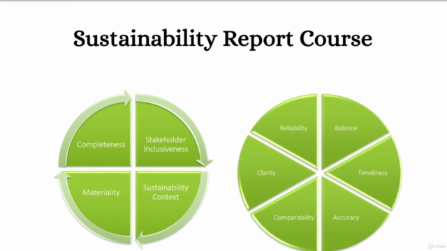 The Sustainability (ESG) Reporting Course. – Screenshot 3