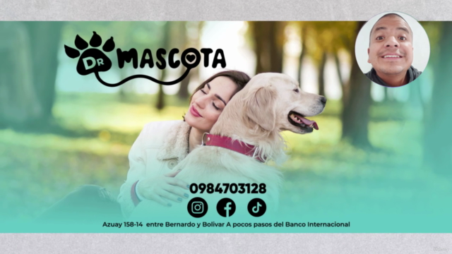 Diseño gráfico para redes sociales: contenido que impacte – Screenshot 1