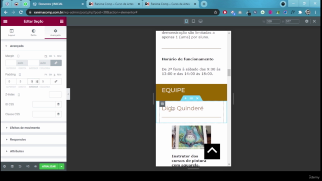 WordPress do Básico ao Avançado - Faça Sites Blogs e Lojas – Screenshot 2