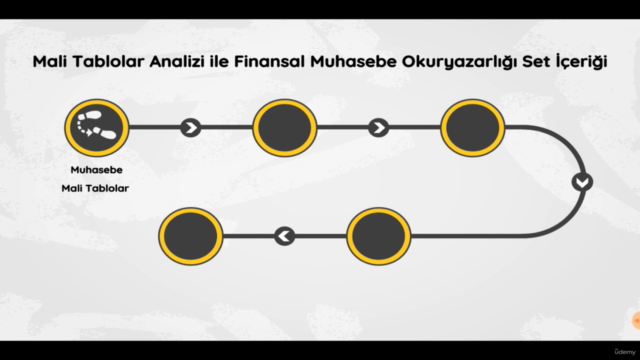 Mali Tablolar Analizi ile Finansal Muhasebe Okuryazarlığı – Screenshot 1
