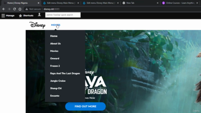 DRUPAL 10 & 9 TUTORIAL -Drupal Master Class 5 Projects 2024 – Screenshot 2