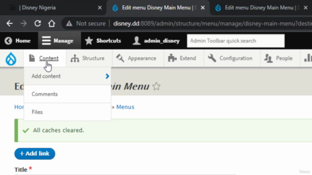 DRUPAL 10 & 9 TUTORIAL -Drupal Master Class 5 Projects 2024 – Screenshot 3