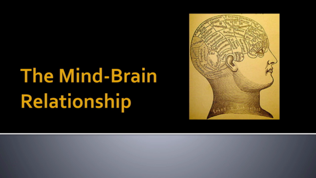 Brain Anatomy - Learn biopsychology science quickly & easily – Screenshot 1