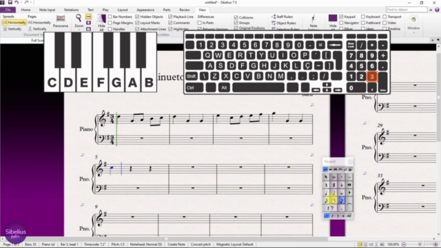 Sibelius Flash: do zero ao intermediário em menos de 2 horas – Screenshot 1