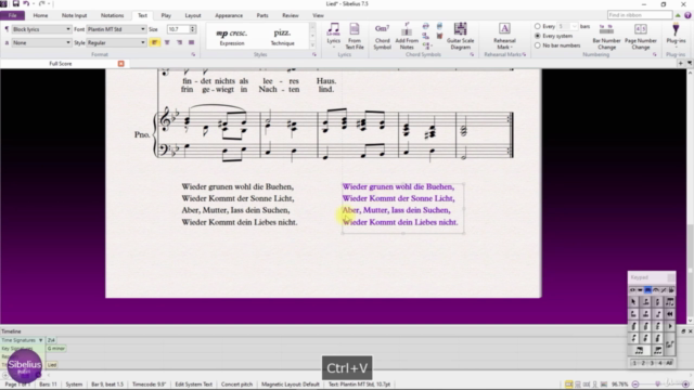 Sibelius Flash: do zero ao intermediário em menos de 2 horas – Screenshot 3