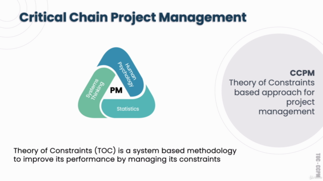Project Management - Theory of Constraints’ way (TOC - CCPM) – Screenshot 4