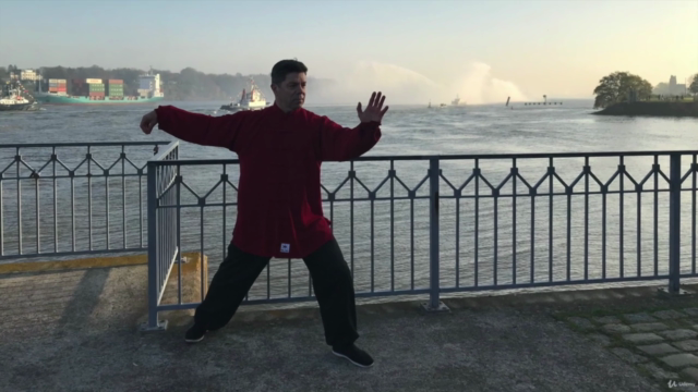 Tai Chi Chuan - Anfänger Online Seminar – Screenshot 1
