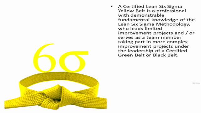Lean Six Sigma Yellow Belt – Screenshot 1