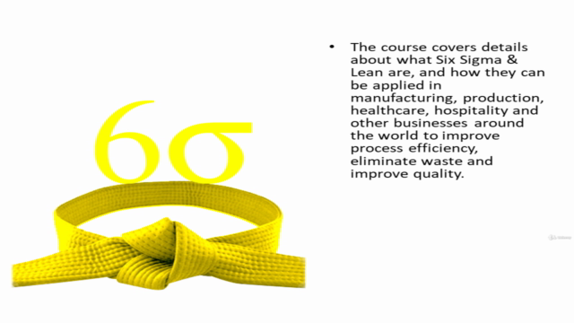Lean Six Sigma Yellow Belt – Screenshot 2