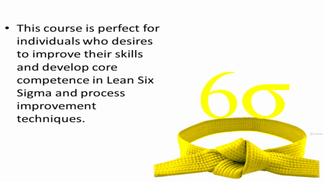 Lean Six Sigma Yellow Belt – Screenshot 3