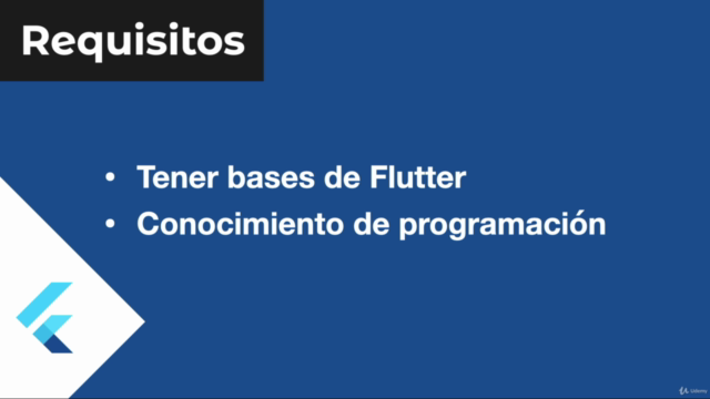 Flutter Web: Aplicaciones y páginas web profesionales – Screenshot 3