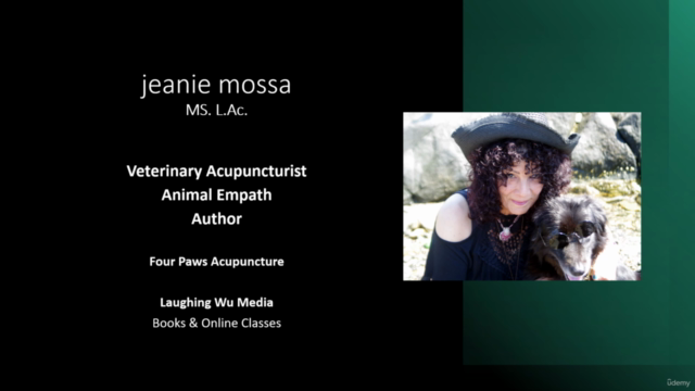 The Magic of Animals – Screenshot 1