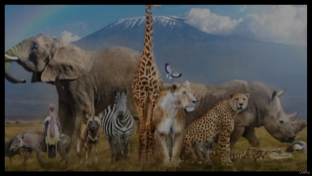 The Magic of Animals – Screenshot 4