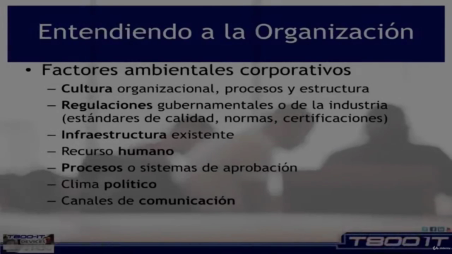 PMOnline. Programa de Dirección de Proyectos: Módulo Básico – Screenshot 3