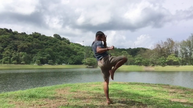 Knee basics in ancient muay thai martial art of Thailand – Screenshot 2