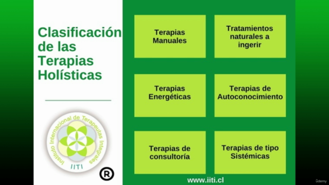Introducción a las Terapias Holísticas – Screenshot 2