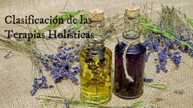 Introducción a las Terapias Holísticas – Screenshot 3