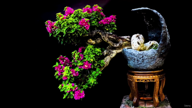 Curso de Bonsai Básico – Screenshot 1