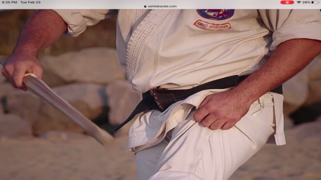 Dissect the Dissection of Isshinryu: Seisan Kata – Screenshot 1