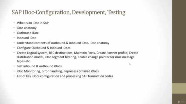 SAP iDoc Training – Screenshot 3