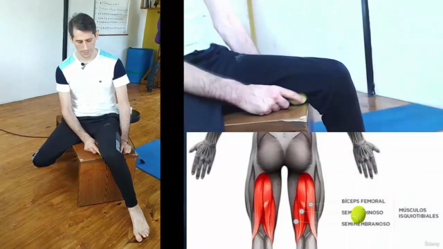 Auto Masajes y Estiramientos Self-Massage & Stretching 4ALL – Screenshot 1
