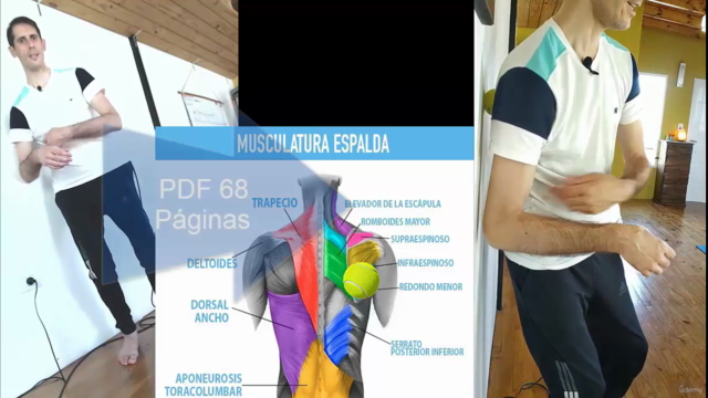 Auto Masajes y Estiramientos Self-Massage & Stretching 4ALL – Screenshot 2