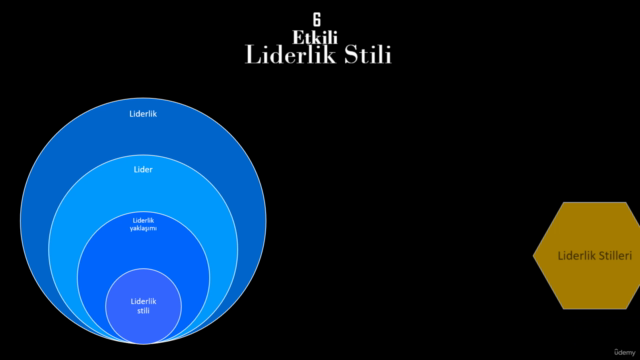 Etkili Liderlik Rehberi: 6 Farklı Liderlik Stilini Kavrayın – Screenshot 2
