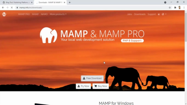WordPress Web Development Course For Beginners – Screenshot 2