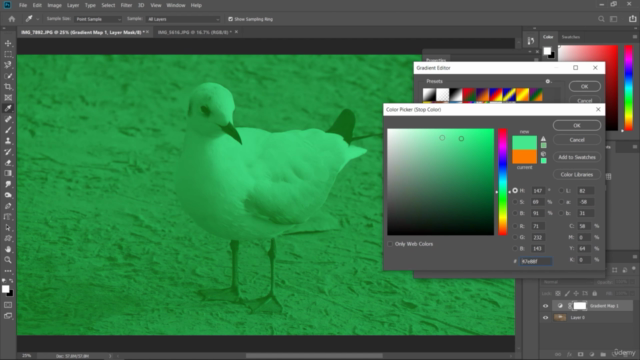 Learn Adobe Photoshop and Lightroom – Screenshot 3