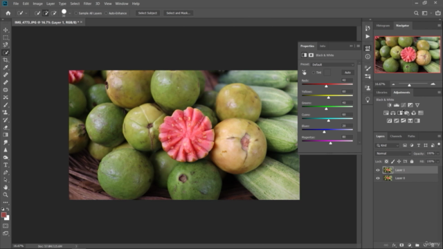 Adobe Photoshop for Photo Editing and Image Retouching 2024 - Screenshot_04