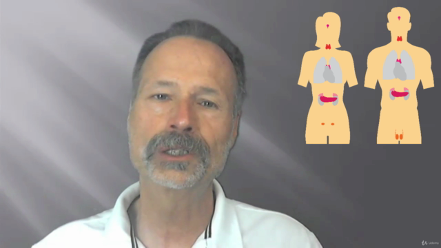 Naturopathie cours n° 11 - Le système endocrinien – Screenshot 2