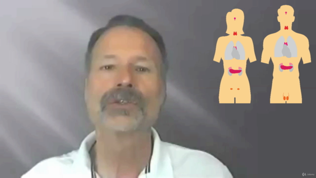 Naturopathie cours n° 11 - Le système endocrinien – Screenshot 3