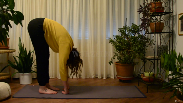 Yin Yoga für Stressmanagement - Screenshot_04