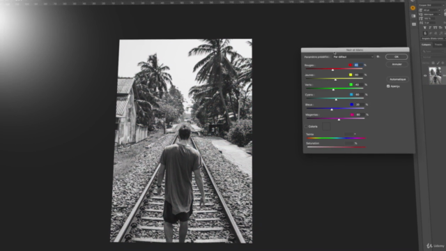 Photoshop, Illustrator, Indesign, Wordpress avec votre CPF – Screenshot 3