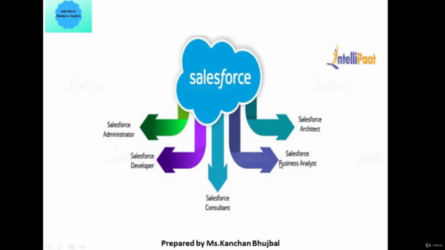 Salesforce Business Analyst – Screenshot 1