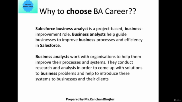Salesforce Business Analyst – Screenshot 3