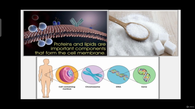 Biochemistry /Biomolecules – Screenshot 3