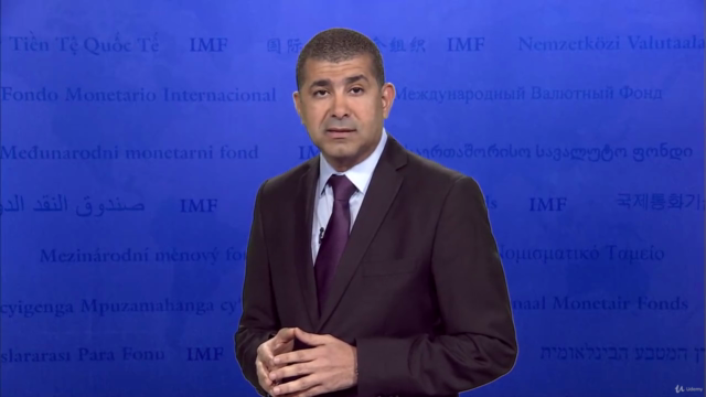 البرمجة المالية: تحليل حسابات الاقتصاد الكلى – Screenshot 1